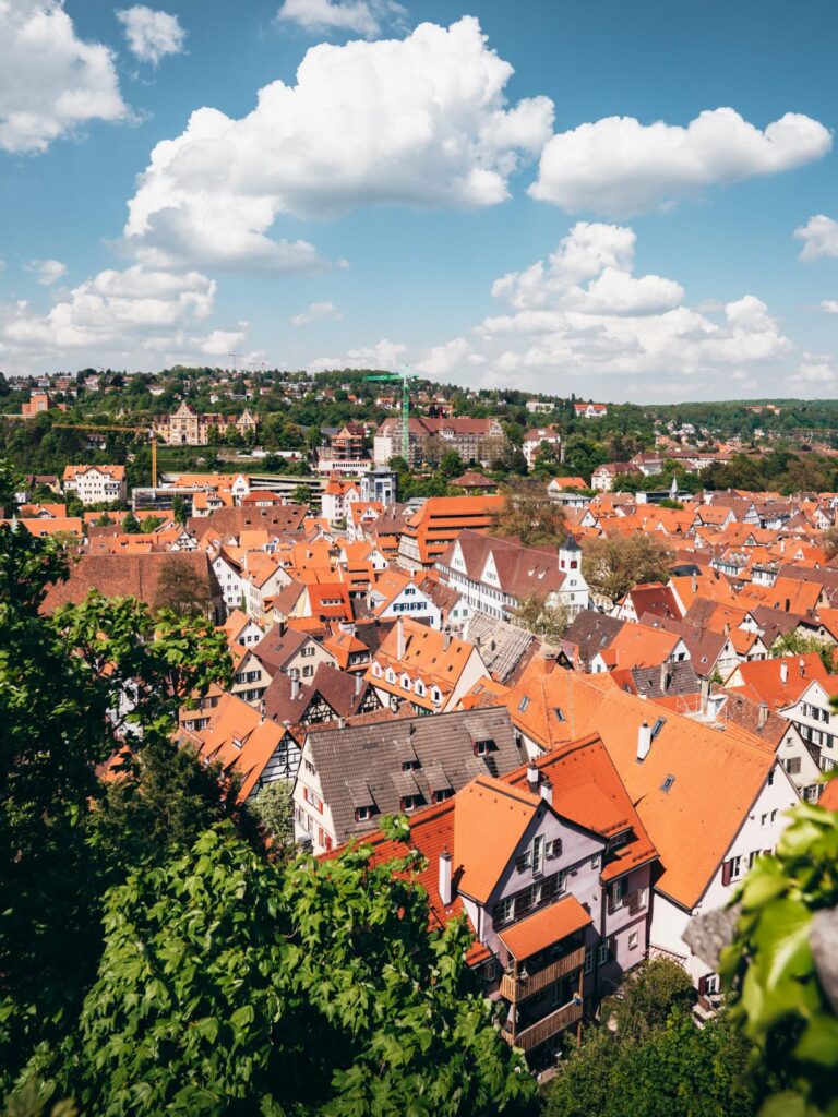 Nordbastion Schloss Hohentübingen - Blick Altstadt Tübingen (1)