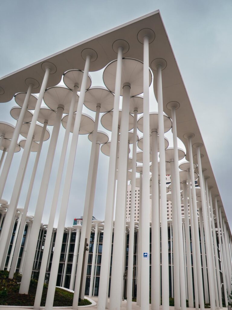 'Steinpalmen' Sächsische Aufbaubank Leipzig (3)